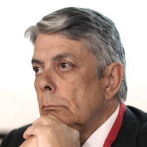 Félix de Moya Anegón - Founder